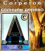 EXCELLE Согретое солнцем дерево (7мл)